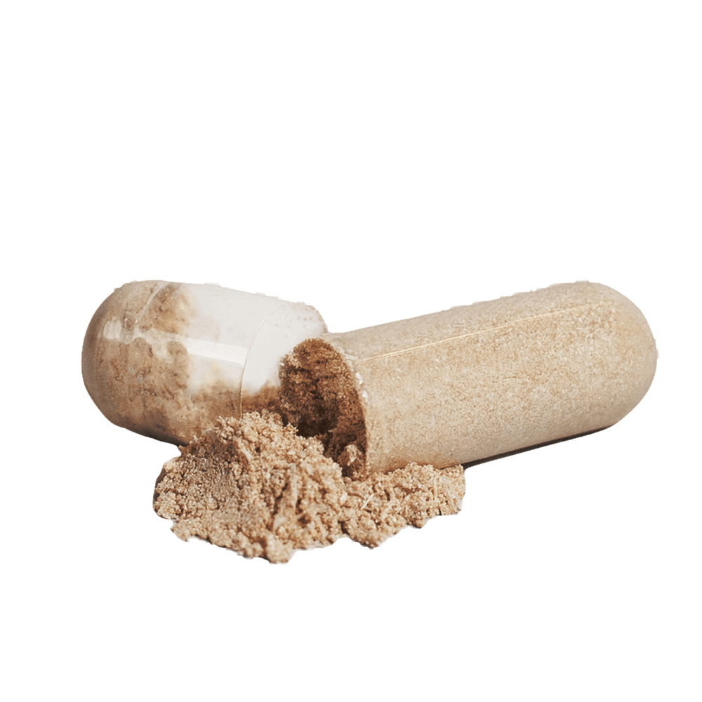 MACA PLUS